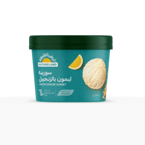 Natureland Lemon Ginger Sorbet 250ml